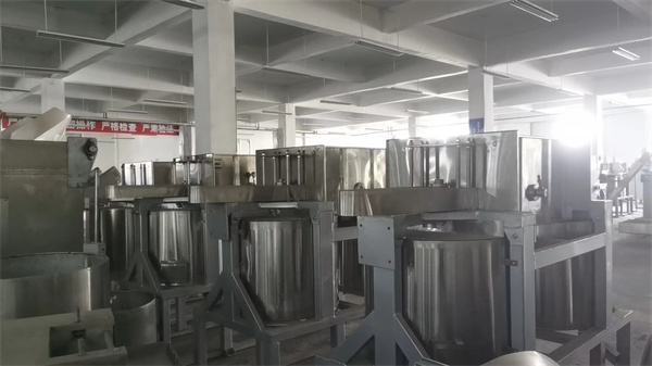 双桶脱油机 双桶脱油机